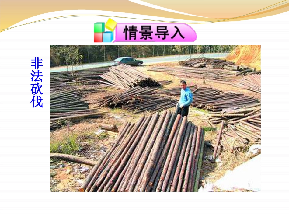 《绿化,我们共同的行动》PPT课件[苏教版七年级生物上册]_第2页