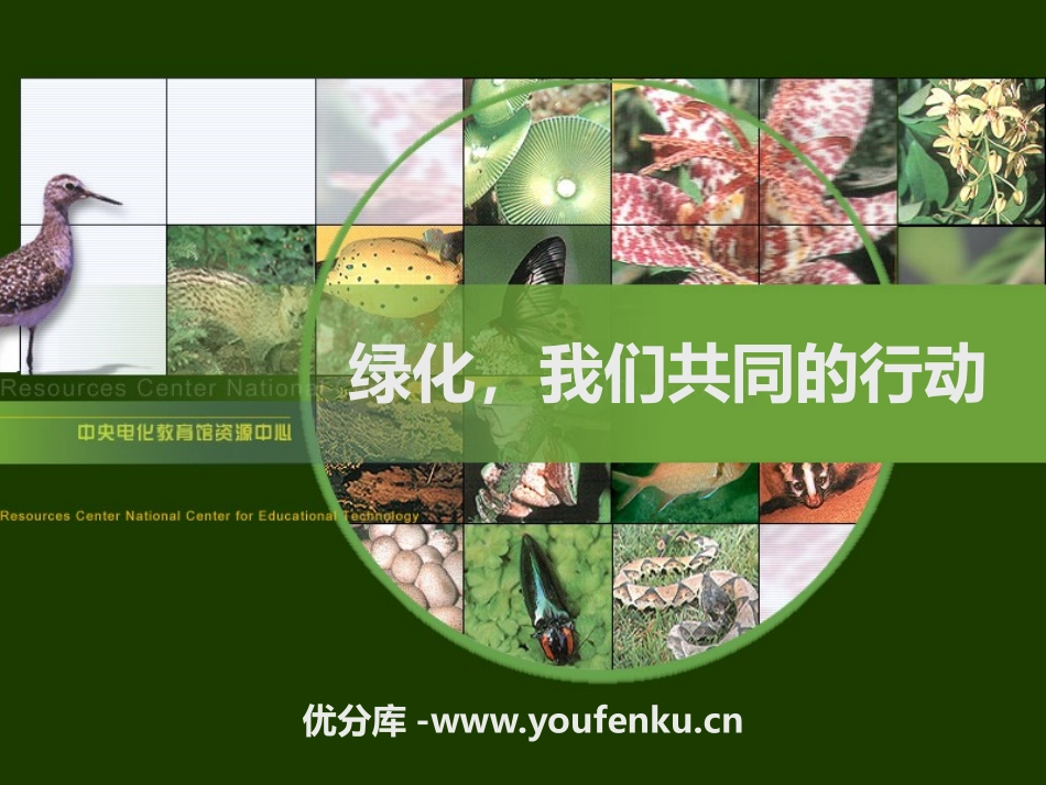 《绿化,我们共同的行动》PPT课件[苏教版七年级生物上册]_第1页