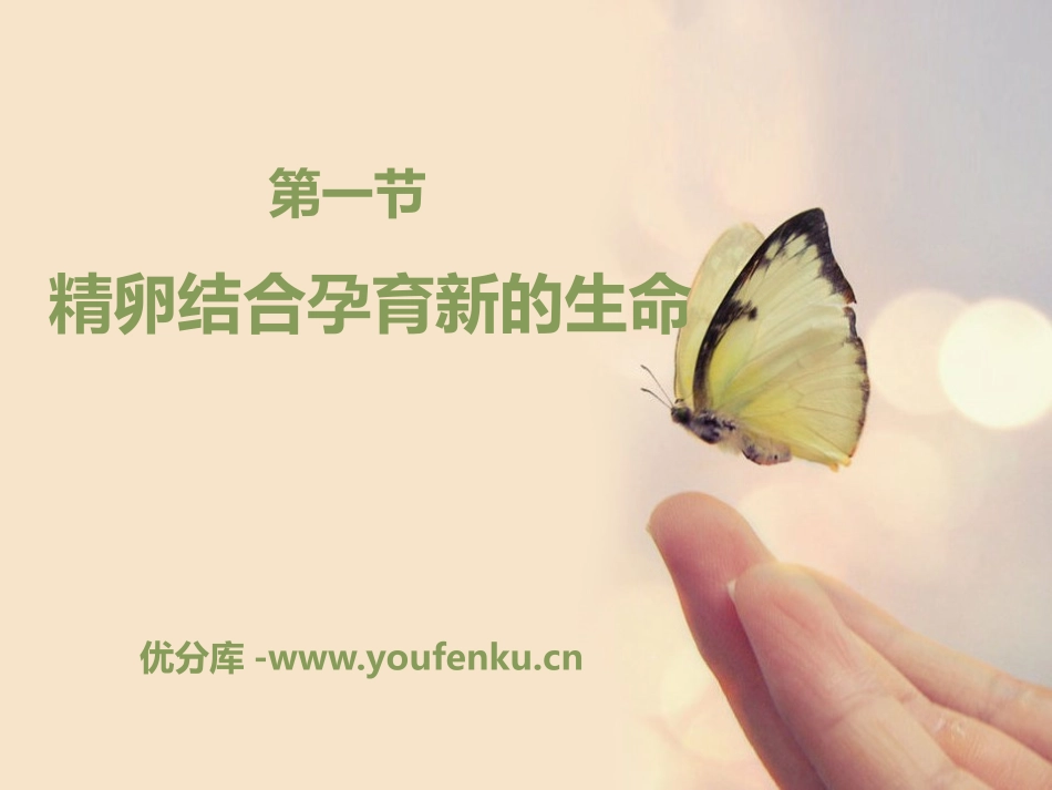 《精卵结合孕育新的生命》PPT课件[苏教版七年级生物下册]_第1页