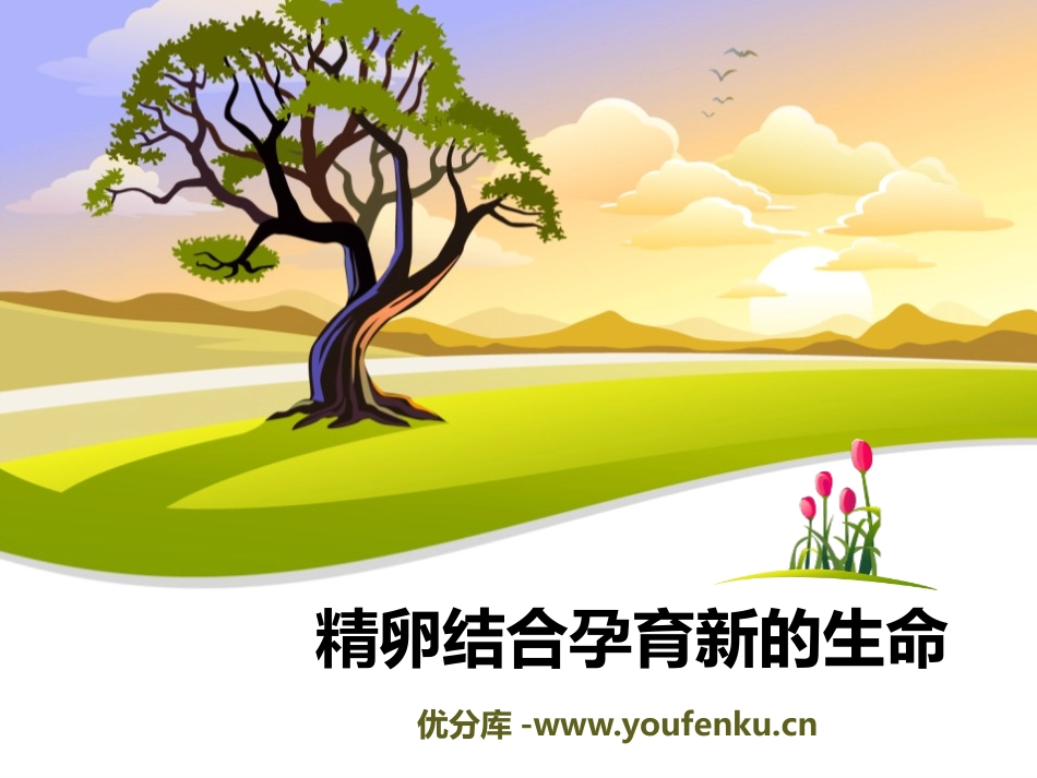 《精卵结合孕育新的生命》PPT课件[苏教版七年级生物下册]_第1页