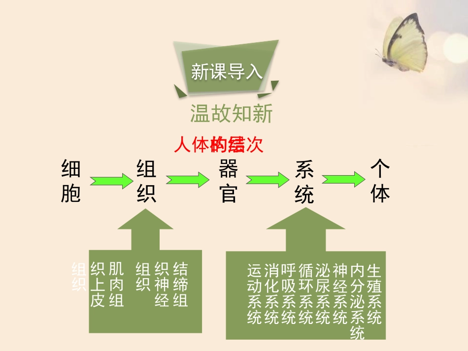 《人体概述》PPT课件[苏教版七年级生物下册]_第2页
