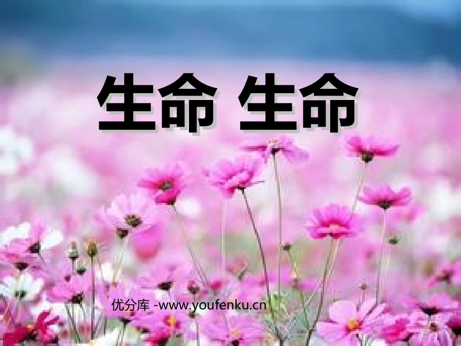 《生命生命》PPT课件[部编版四年级语文下册]_第1页