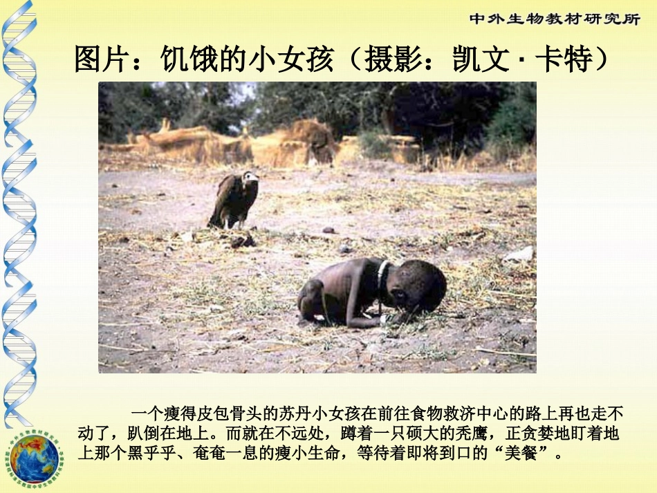 《膳食指南与食品安全》PPT课件[苏教版七年级生物下册]_第3页