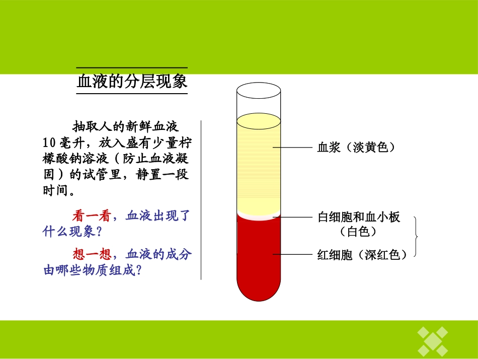 《血液和血型》PPT课件[苏教版七年级生物下册]_第2页