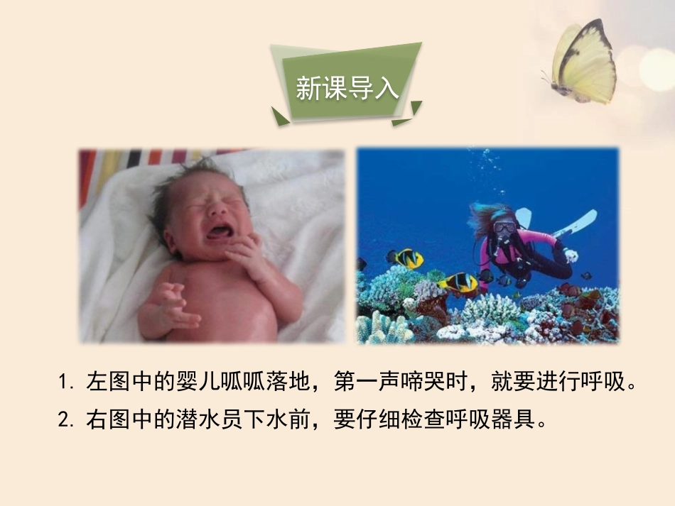 《人体和外界环境的气体交换》PPT课件[苏教版七年级生物]_第3页