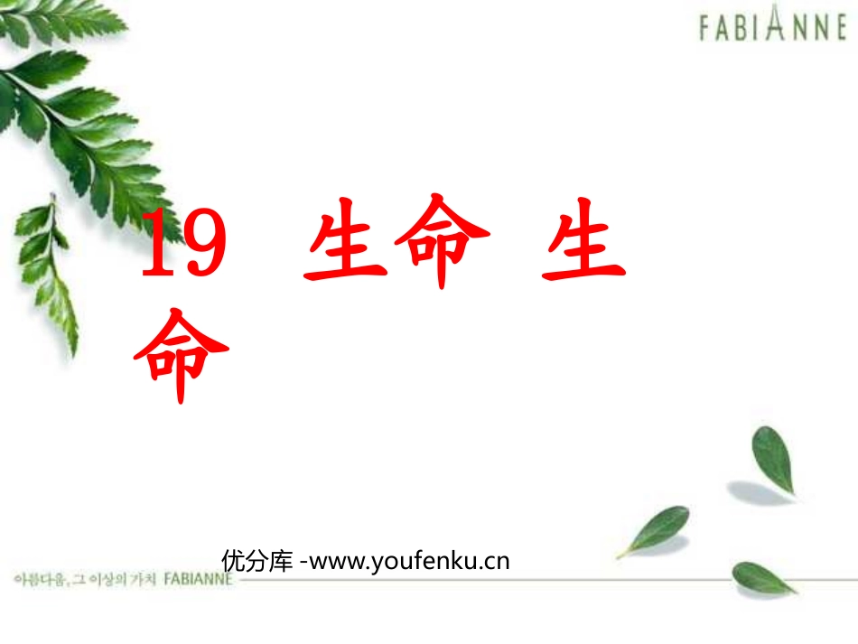 《生命生命》PPT课件[部编版四年级语文下册]_第1页