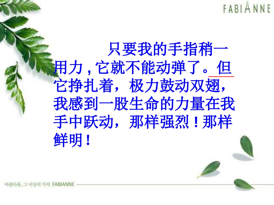 《生命生命》PPT课件[部编版四年级语文下册]_第3页