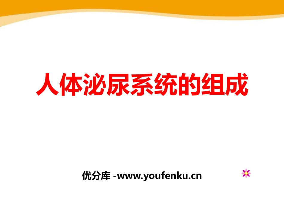 《人体泌尿系统的组成》PPT课件[苏教版七年级生物下册]_第1页