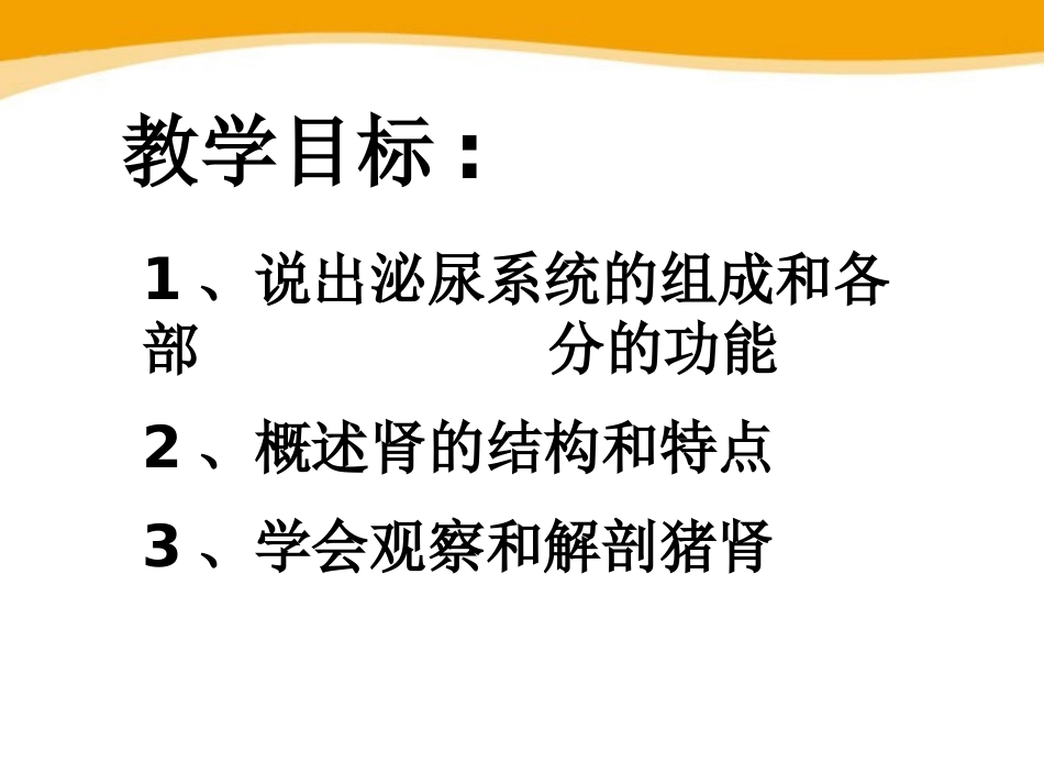 《人体泌尿系统的组成》PPT课件[苏教版七年级生物下册]_第2页