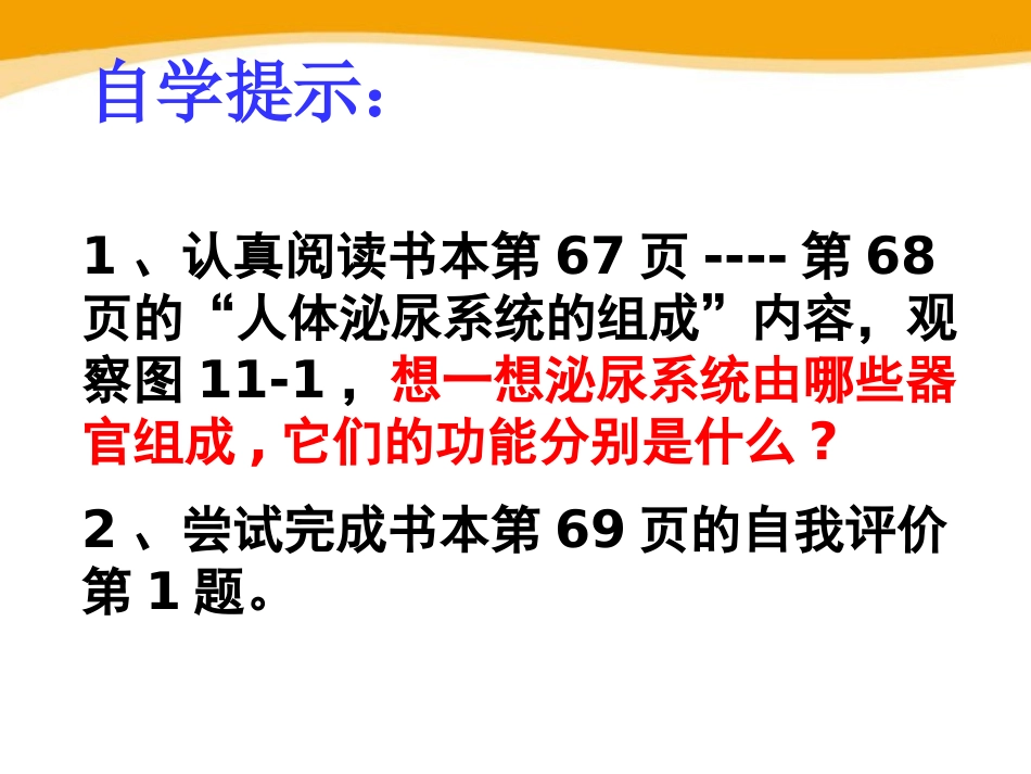 《人体泌尿系统的组成》PPT课件[苏教版七年级生物下册]_第3页