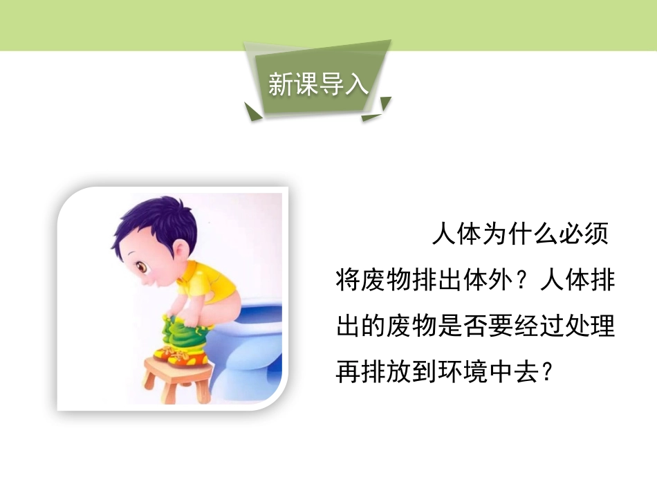 《人体废物的排出》PPT课件[苏教版七年级生物下册]_第3页