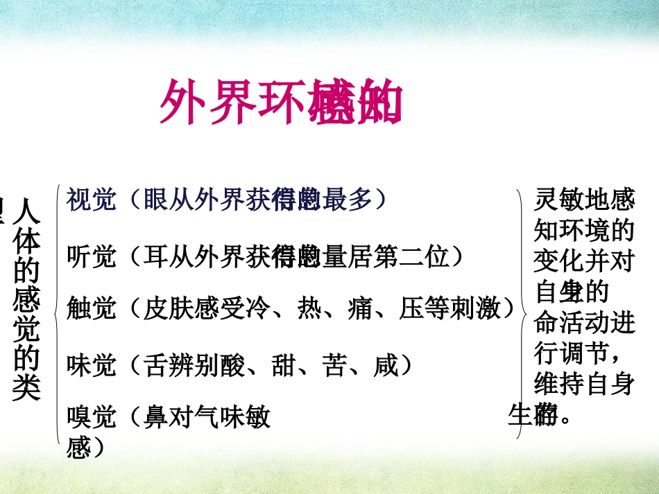 《人体的感知信息》PPT课件[苏教版七年级生物下册]_第3页