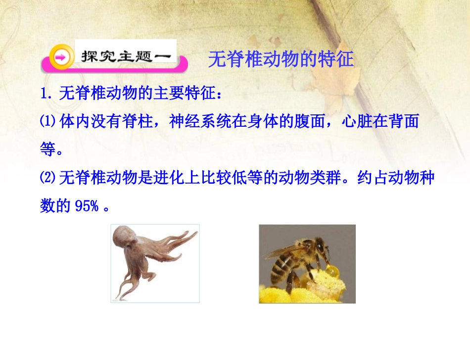 《千姿百态的动物世界》PPT课件[苏教版八年级生物上册]_第3页