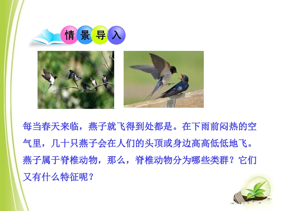 《千姿百态的动物世界》PPT课件[苏教版八年级生物上册]_第2页