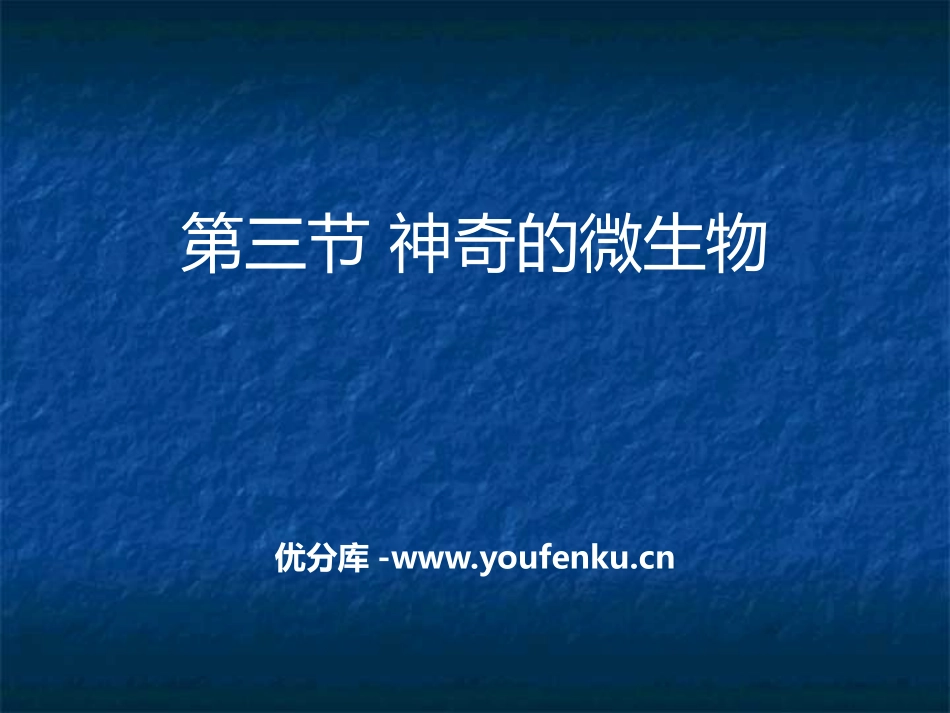 《神奇的微生物》PPT课件[苏教版八年级生物上册]_第1页