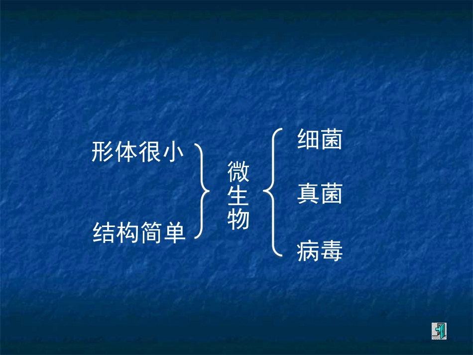 《神奇的微生物》PPT课件[苏教版八年级生物上册]_第3页