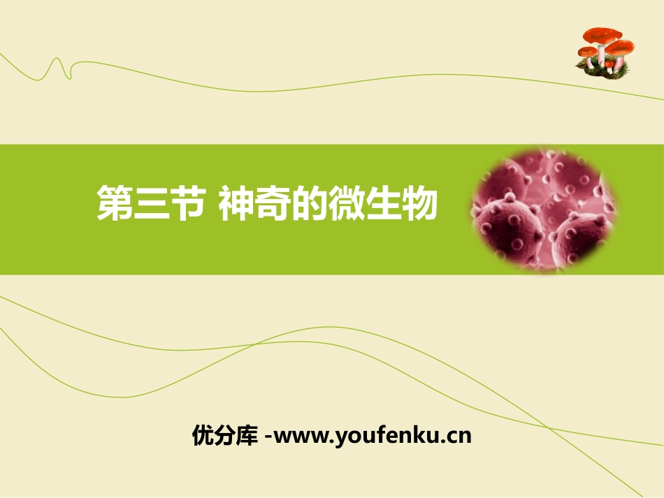 《神奇的微生物》PPT课件[苏教版八年级生物上册]_第1页