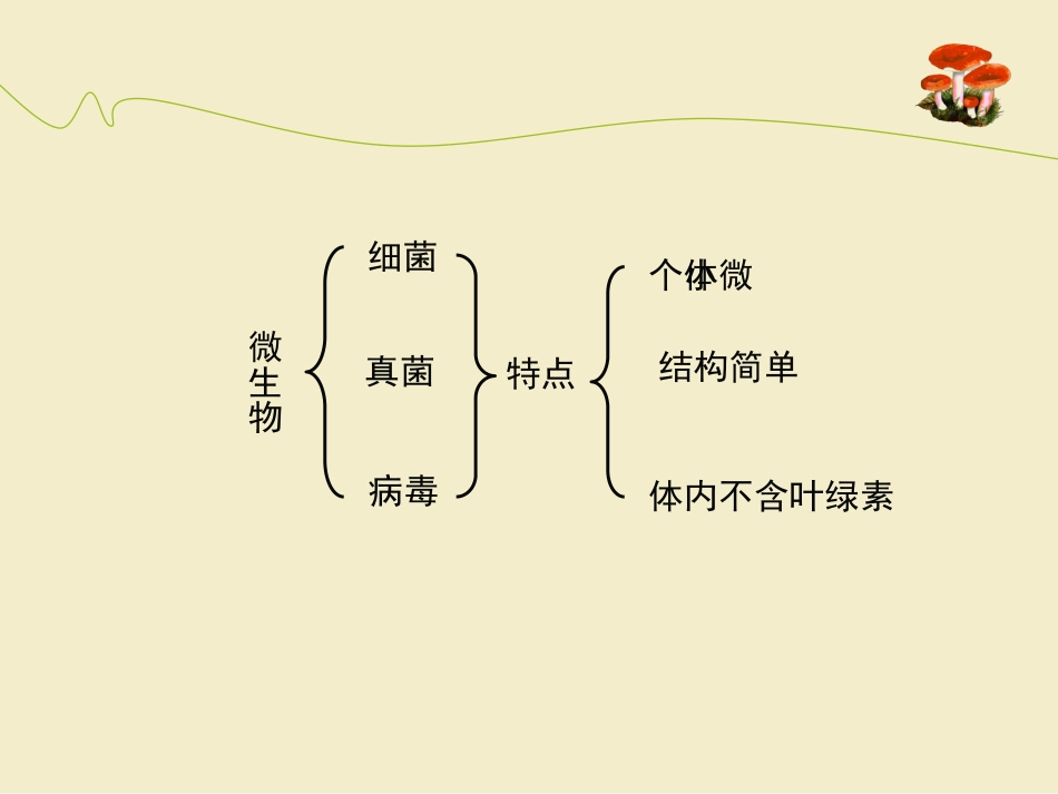 《神奇的微生物》PPT课件[苏教版八年级生物上册]_第3页