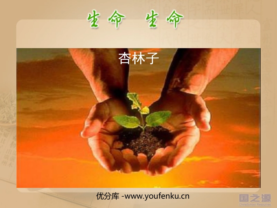 《生命生命》PPT课件[部编版四年级语文下册]_第1页