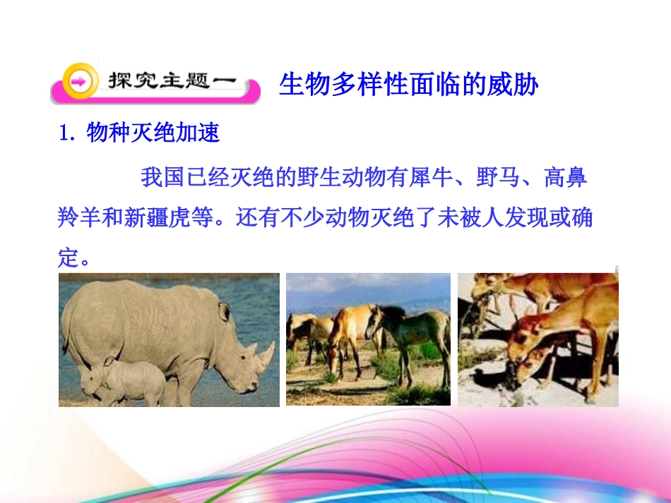 《保护生物多样性的艰巨使命》PPT课件[苏教版八年级生物]_第3页