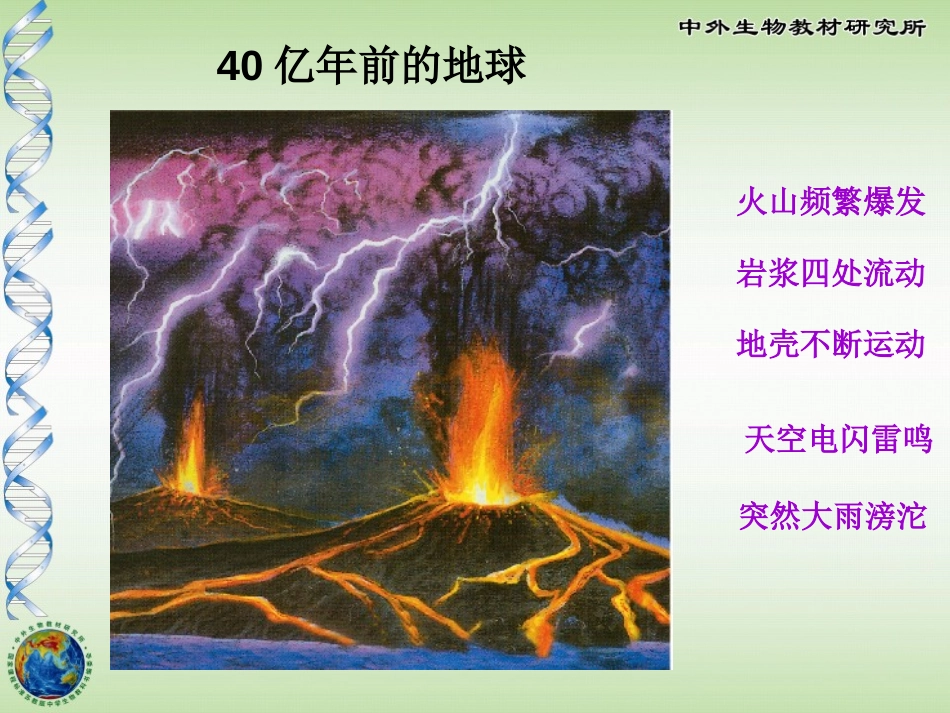 《生命的诞生》PPT课件[苏教版八年级生物上册]_第2页