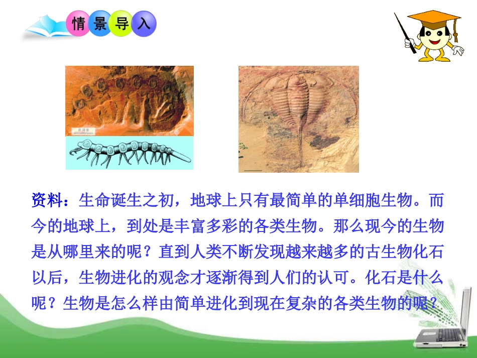 《生物进化的历程》PPT课件[苏教版八年级生物上册]_第2页