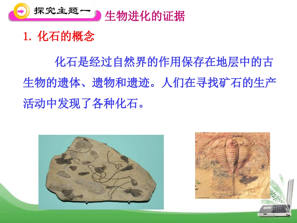 《生物进化的历程》PPT课件[苏教版八年级生物上册]_第3页