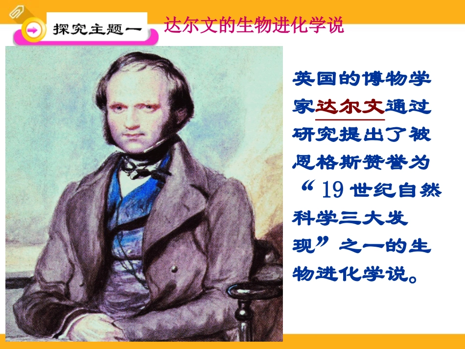 《生物进化的学说》PPT课件[苏教版八年级生物上册]_第3页