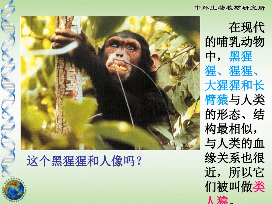 《人类的起源和进化》PPT课件[苏教版八年级生物上册]_第2页