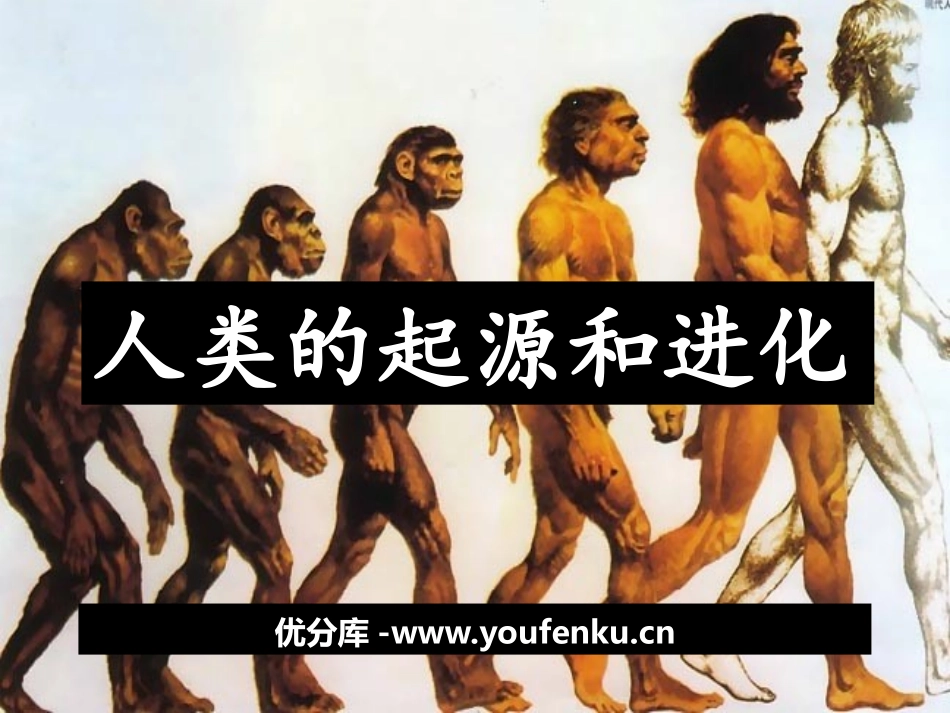 《人类的起源和进化》PPT教学课件[苏教版八年级生物上册]_第1页