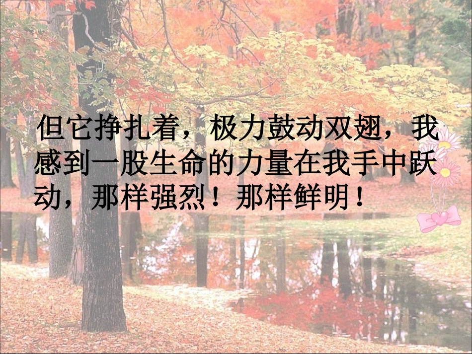 《生命生命》PPT课件[部编版四年级语文下册]_第3页