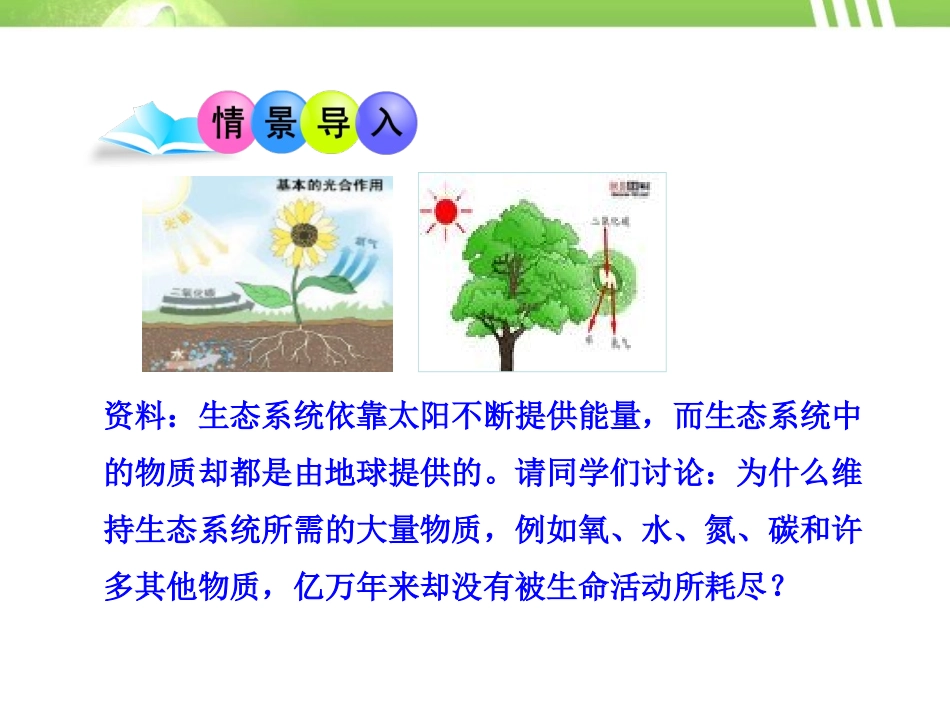 《生态系统中的能量流动和物质循环》PPT课件[苏教版八年级生物]_第2页