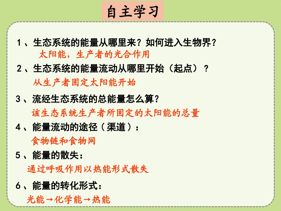 《生态系统中的能量流动和物质循环》PPT课件[苏教版八年级生物]_第3页