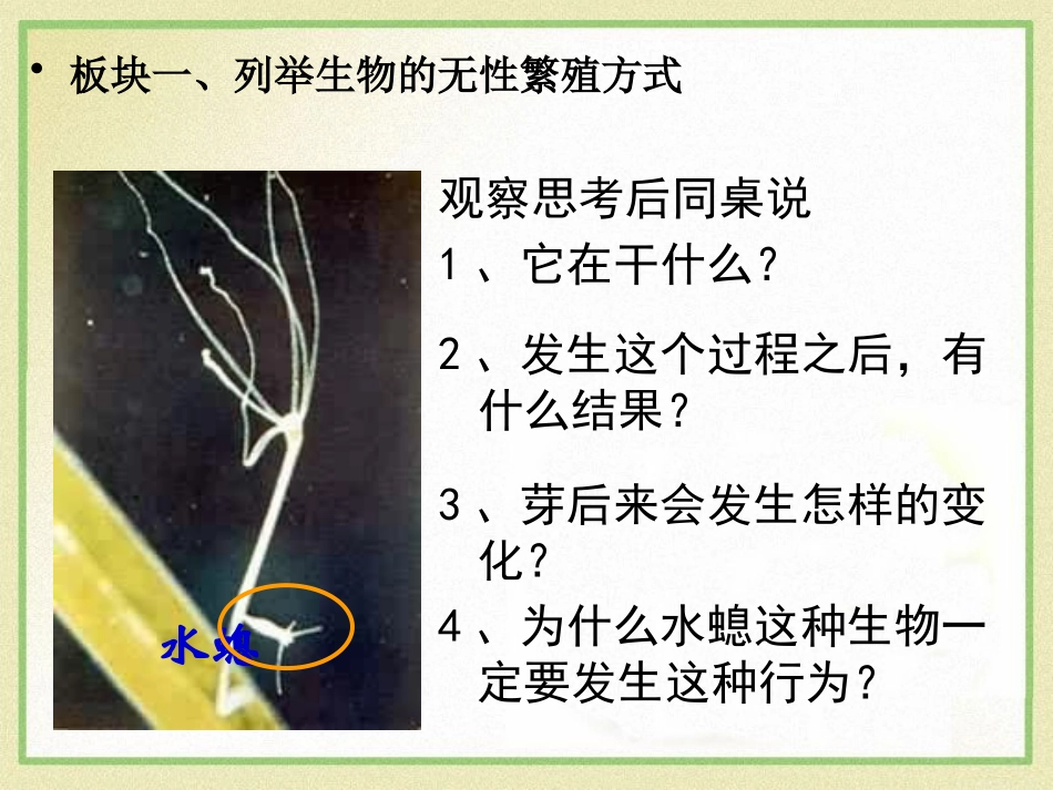 《生物的无性生殖》PPT课件[苏教版八年级生物下册]_第3页