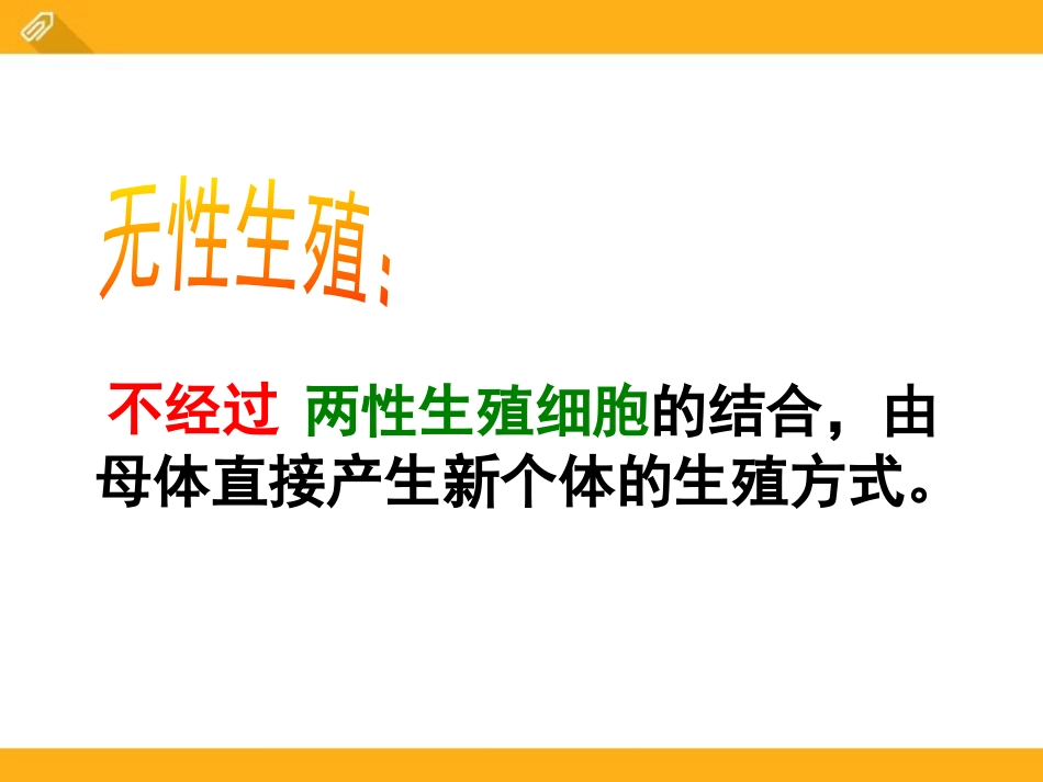 《生物的无性生殖》PPT课件[苏教版八年级生物下册]_第2页