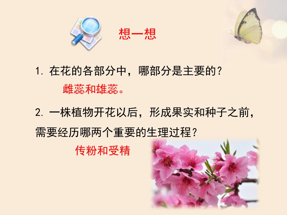 《植物的有性生殖》PPT课件[苏教版八年级生物下册]_第3页
