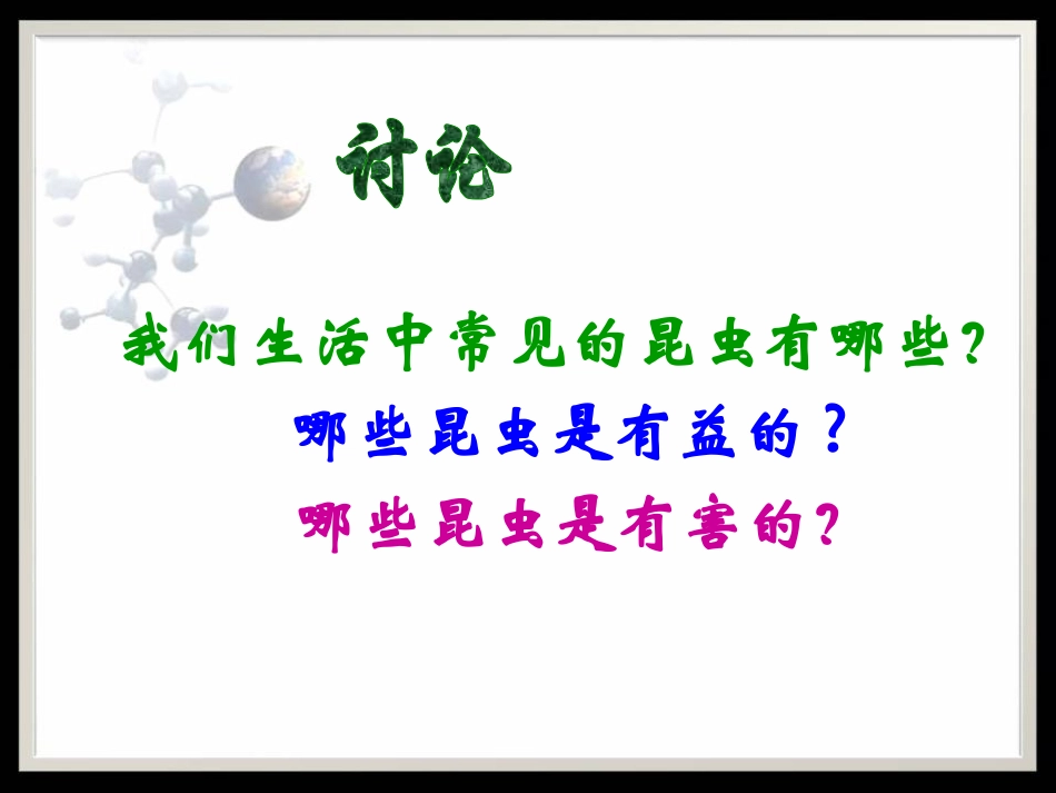 《昆虫的生殖与发育》PPT课件[苏教版八年级生物下册]_第2页