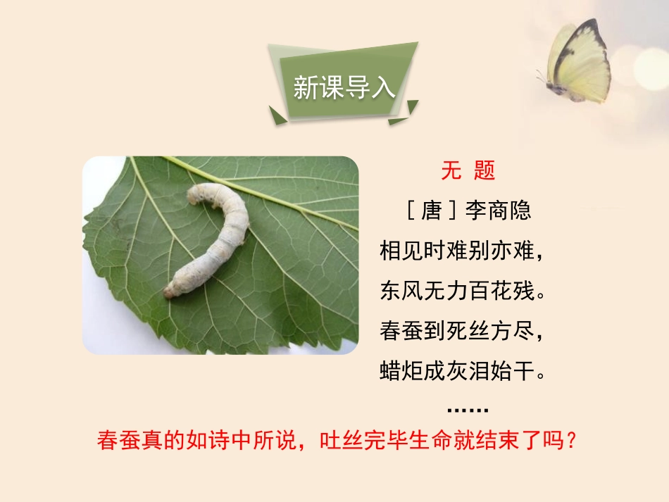 《昆虫的生殖与发育》PPT课件[苏教版八年级生物下册]_第3页