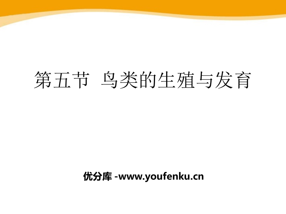 《鸟类的生殖与发育》PPT课件[苏教版八年级生物下册]_第1页