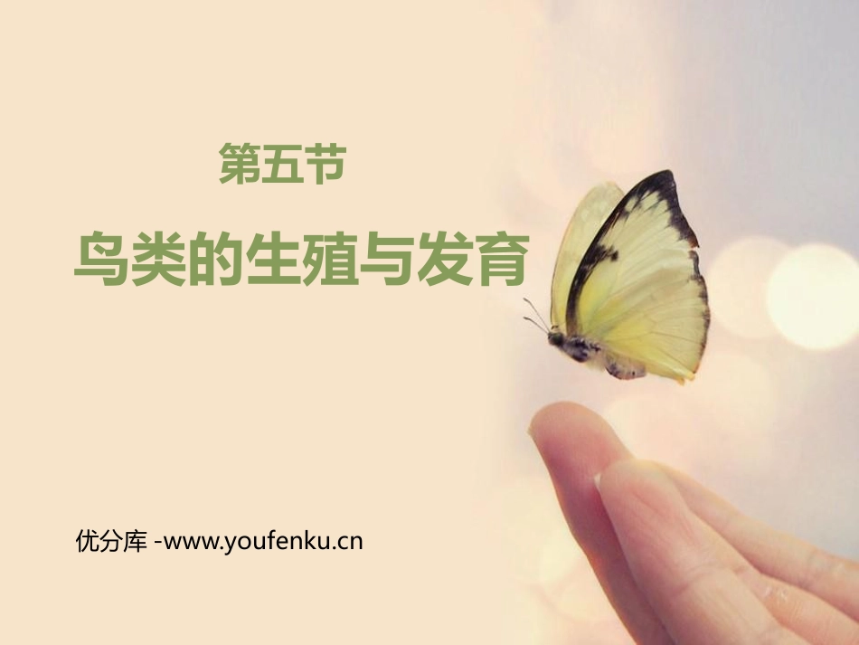《鸟类的生殖与发育》PPT课件[苏教版八年级生物下册]_第1页