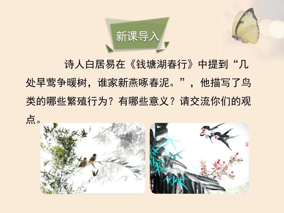 《鸟类的生殖与发育》PPT课件[苏教版八年级生物下册]_第3页