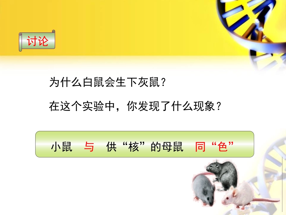 《DNA是主要的遗传物质》PPT课件[苏教版八年级生物下册]_第3页