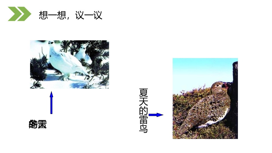 《生物进化的原因》PPT精品课件[人教版八年级生物下册]_第3页