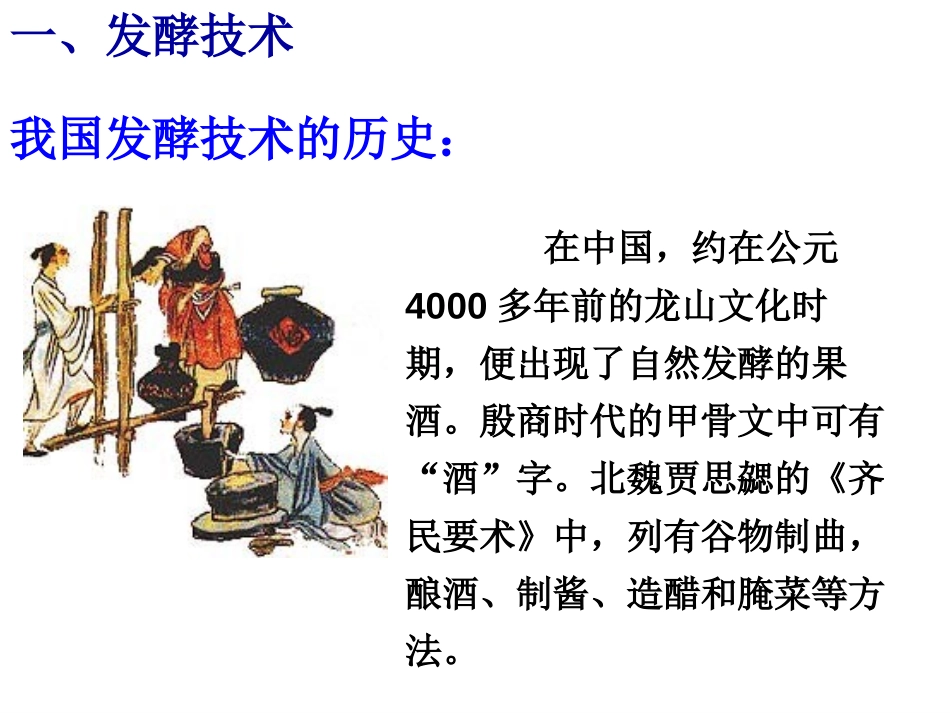 《源远流长的发酵技术》PPT课件[苏教版八年级生物下册]_第2页