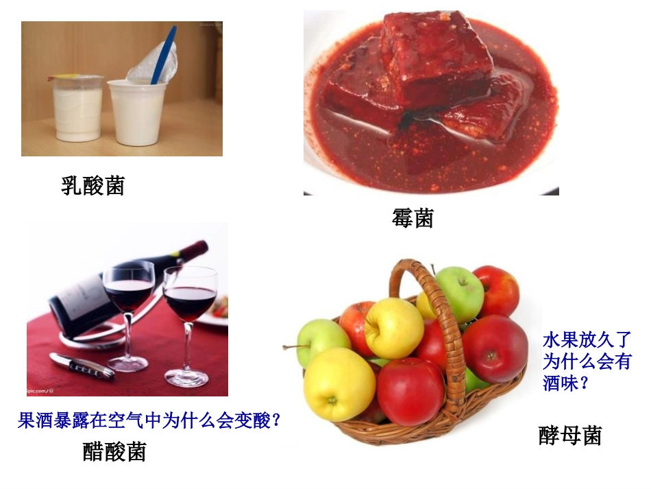 《源远流长的发酵技术》PPT课件[苏教版八年级生物下册]_第3页