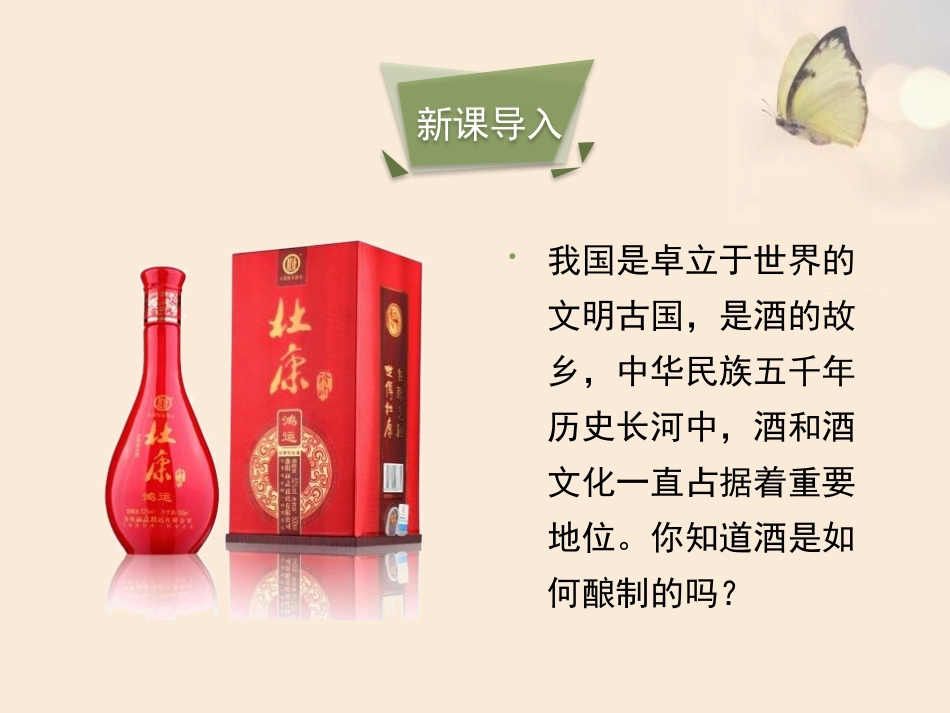 《源远流长的发酵技术》PPT课件[苏教版八年级生物下册]_第3页