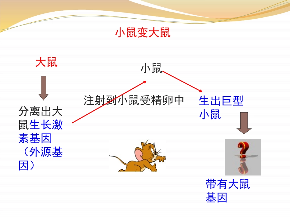《现代生物技术的应用》PPT课件[苏教版八年级生物下册]_第3页