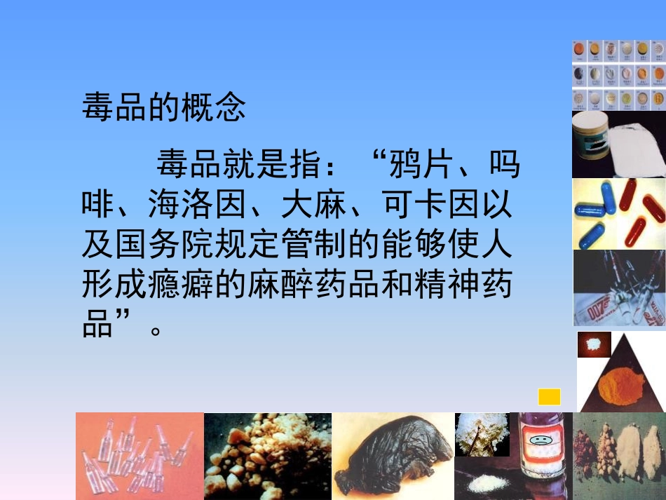 《拒绝毒品》PPT课件[苏教版八年级生物下册]_第3页