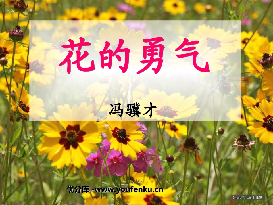 《花的勇气》PPT课件[部编版四年级语文下册]_第1页