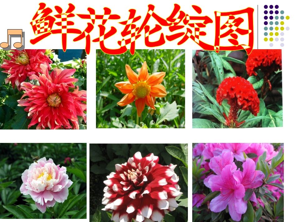 《乡下人家》PPT课件[部编版四年级语文下册]_第3页